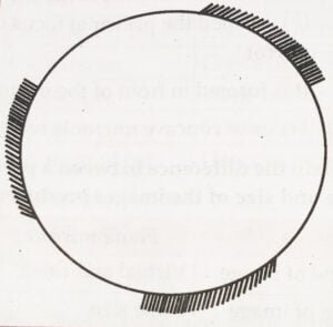 IMG 20221126 034425 01 Chapter 11 – Reflection of Light