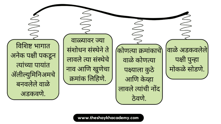 20221221 175801 0000 01 पाठ ११ – आभाळातल्या पाऊलवाटा