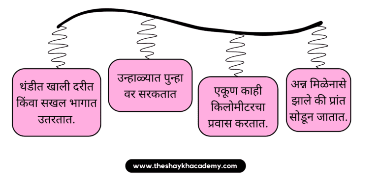 20221221 175801 0001 01 पाठ ११ – आभाळातल्या पाऊलवाटा