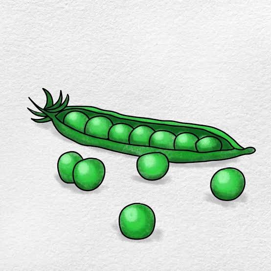 images 6 Lesson 23 – Growing Up and Growing Old