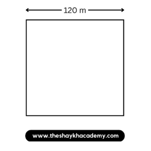 IMG 20230318 155430 Chapter 12 - Perimeter and Area