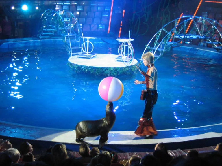 555205 A Visit To A Circus