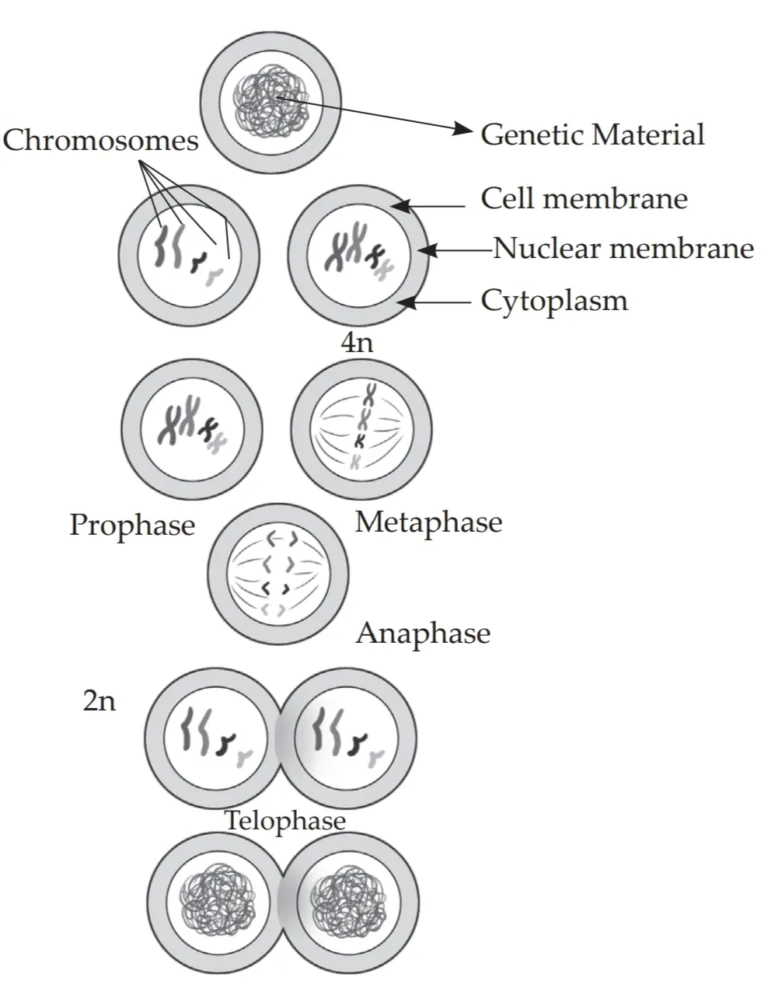 IMG 20230521 225836 Chapter 2 – Life Processes in Living Organisms Part-1