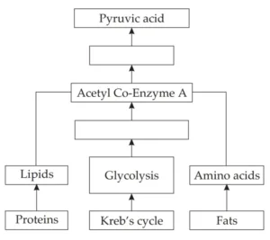 IMG 20230521 230324 Chapter 2 – Life Processes in Living Organisms Part-1