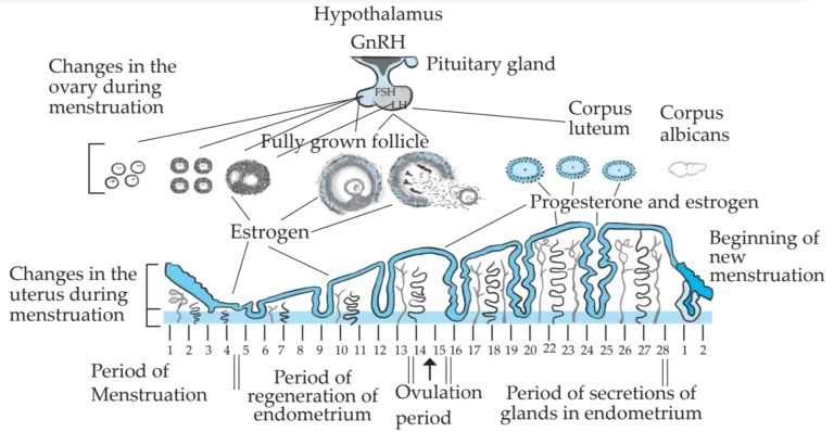 IMG 20230522 215524 Chapter 3 – Life Processes in Living Organisms Part-2