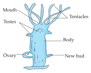 IMG 20230523 155113 Chapter 6 – Animal Classification