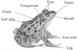 IMG 20230523 155201 Chapter 6 – Animal Classification