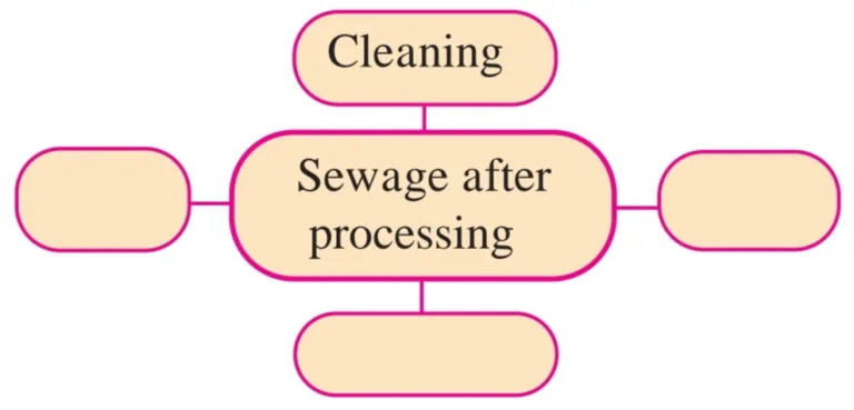 IMG 20230523 171516 Chapter 7 – Introduction to Microbiology