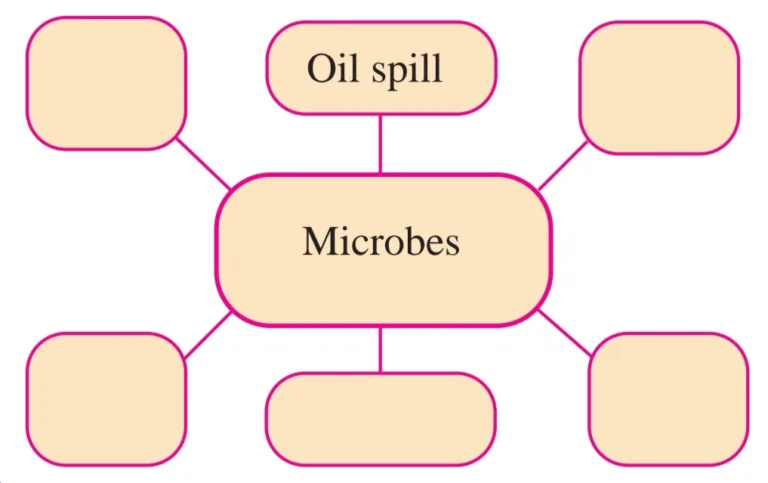 IMG 20230523 171542 Chapter 7 – Introduction to Microbiology