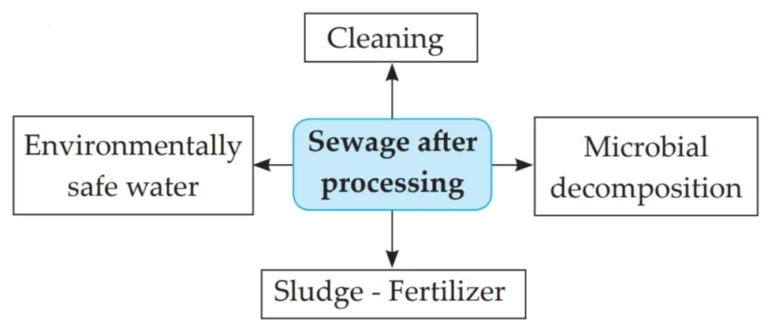 IMG 20230523 171613 Chapter 7 – Introduction to Microbiology