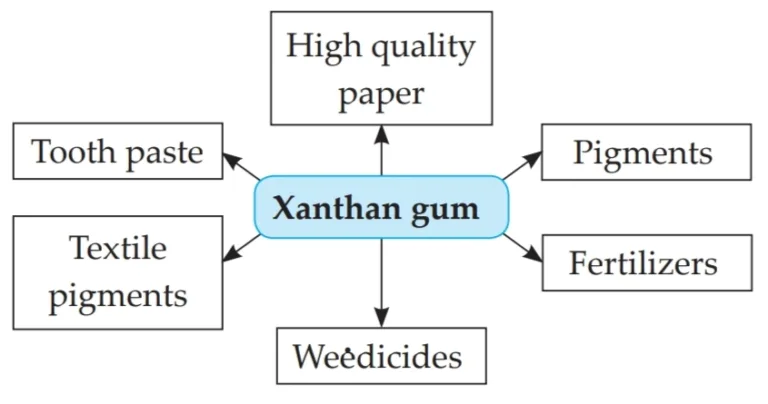 IMG 20230523 171636 Chapter 7 – Introduction to Microbiology