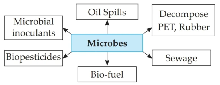 IMG 20230523 171651 Chapter 7 – Introduction to Microbiology
