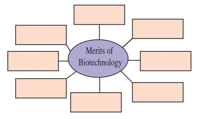IMG 20230523 183600 Chapter 8 – Cell Biology and Biotechnology