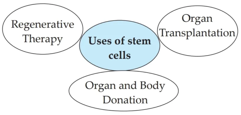 IMG 20230523 184814 Chapter 8 – Cell Biology and Biotechnology