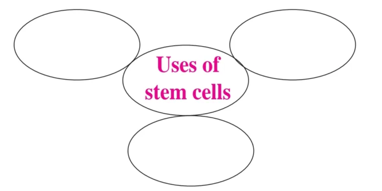 IMG 20230523 184842 Chapter 8 – Cell Biology and Biotechnology