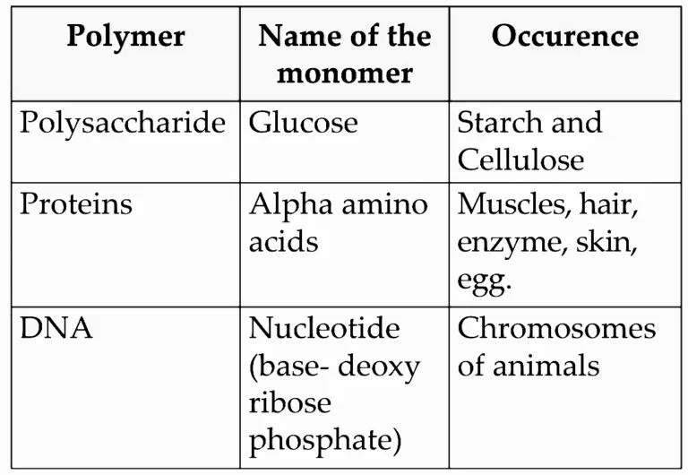 IMG 20230524 032331 Chapter 9 – Carbon compounds