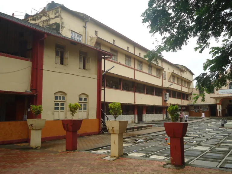 st marys My School