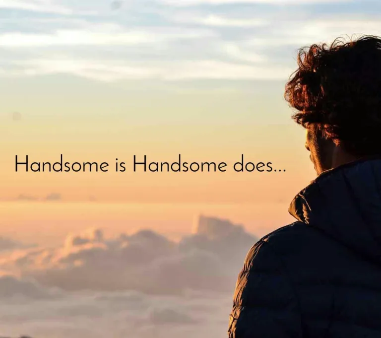 x78E7631 Handsome Is That Handsome Does