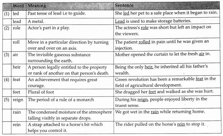 IMG 20230610 215236 Chapter 1.3 – On Wings of Courage