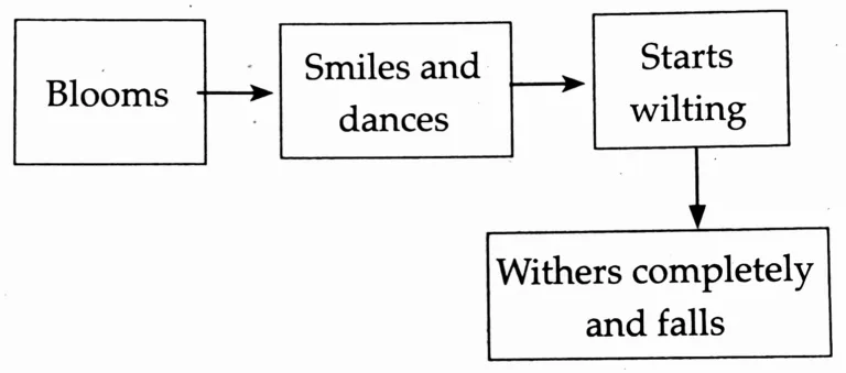 IMG 20230612 014138 Chapter 1.6 – The Alchemy of Nature
