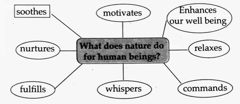 IMG 20230612 014725 Chapter 1.6 – The Alchemy of Nature