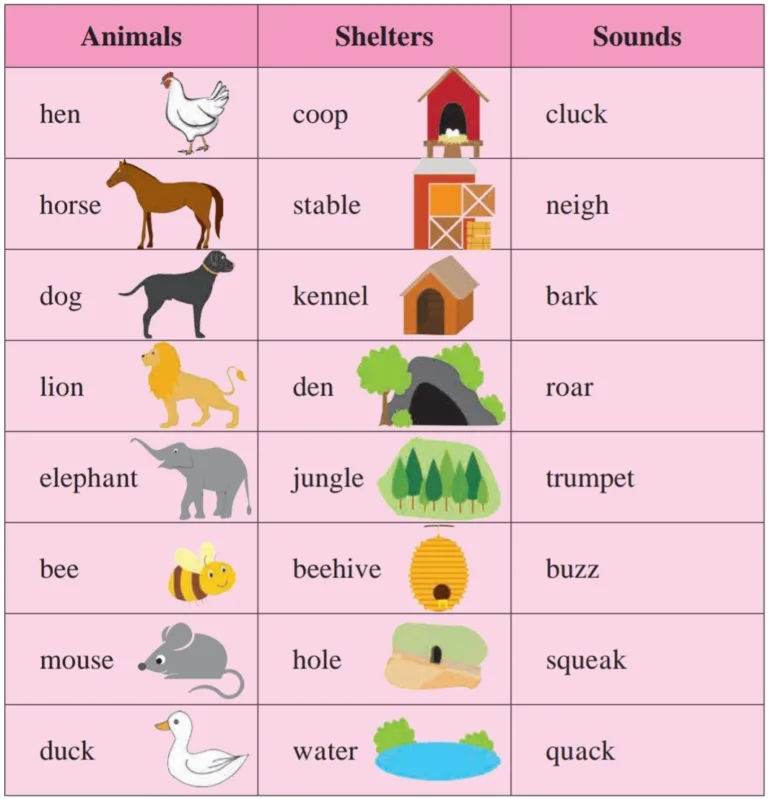 IMG 20230630 012933 Unit 3 - Lesson 4 - Let’s know more about animals