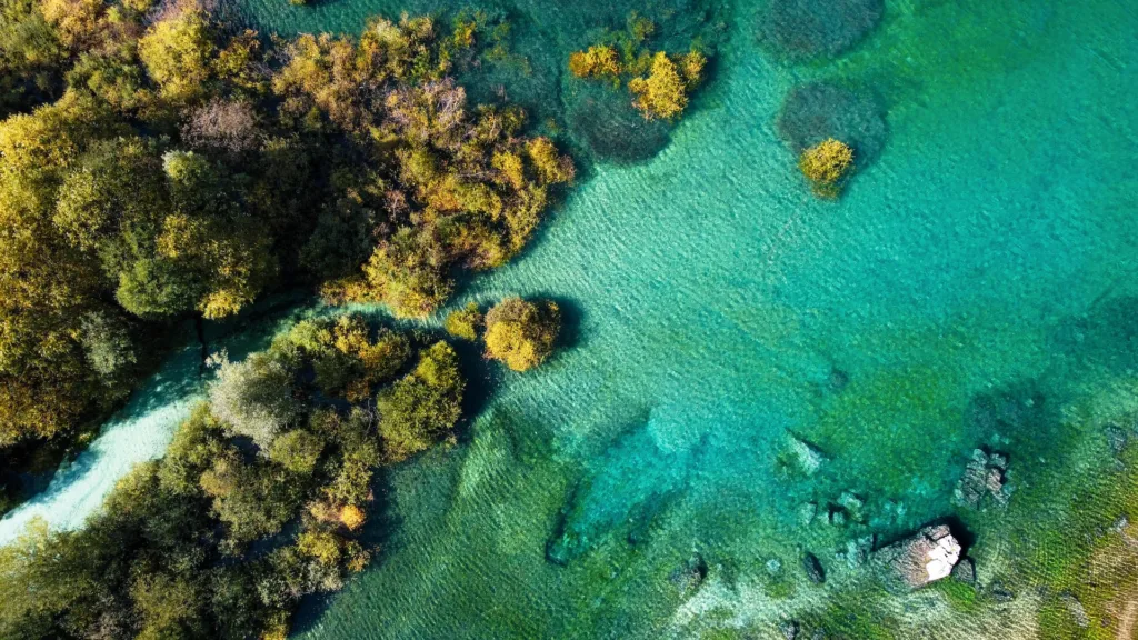 Sailing Towards Sustainability: Embracing the Oceans on World Ocean Day 2023