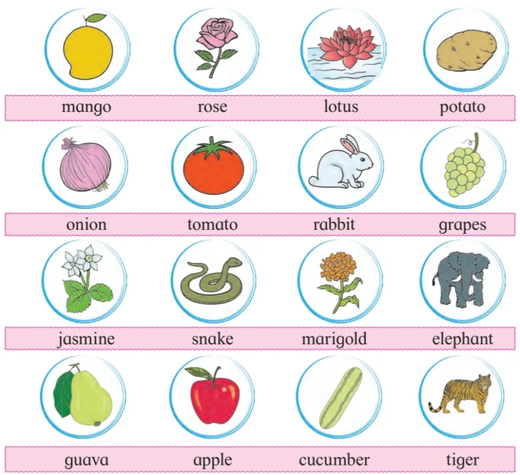 IMG 20230701 000708 Lesson 2.2 – Activity Time