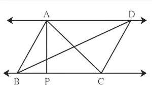 IMG 20230707 145347 Chapter 1 – Similarity