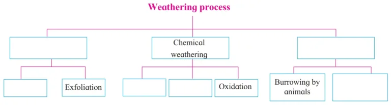 IMG 20230711 012709 Chapter 3 – Exogenetic Processes Part - I