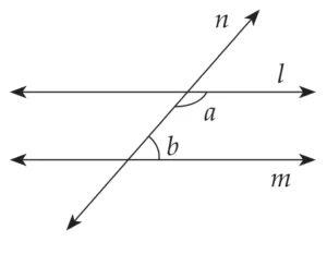 IMG 20230728 060608 Chapter 2 – Parallel Lines