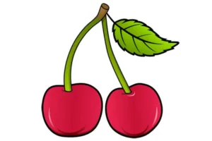 Cherry Lesson 7 – Food and Nutrition