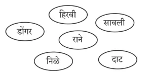 IMG 20230803 170058 पाठ २ – मी चित्रकार कसा झालो!