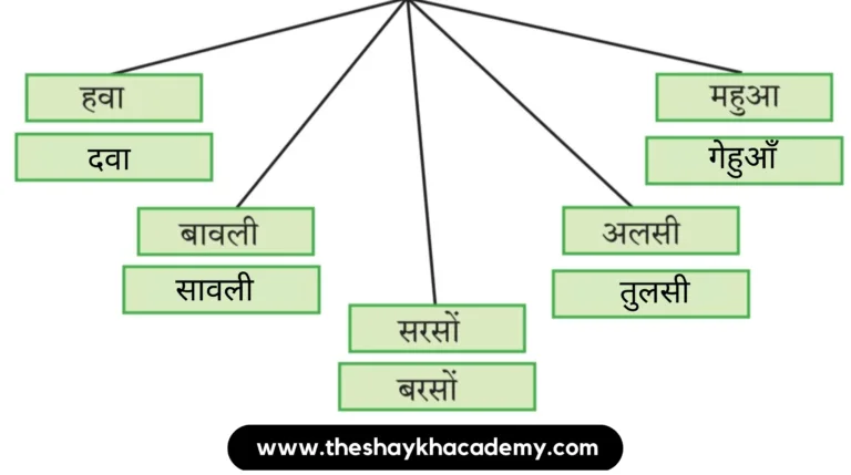 IMG 20230808 231901 2 पाठ २ – बसंती हवा