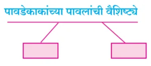 IMG 20230810 120100 पाठ ७ – फूटप्रिन्टस