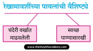 IMG 20230810 120955 पाठ ७ – फूटप्रिन्टस