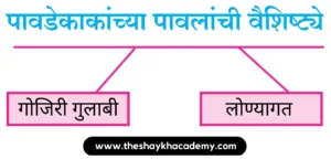 IMG 20230810 121009 पाठ ७ – फूटप्रिन्टस