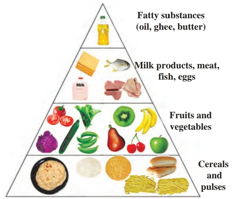Chapter 7 – Nutrition and Diet - Shaykh Academy