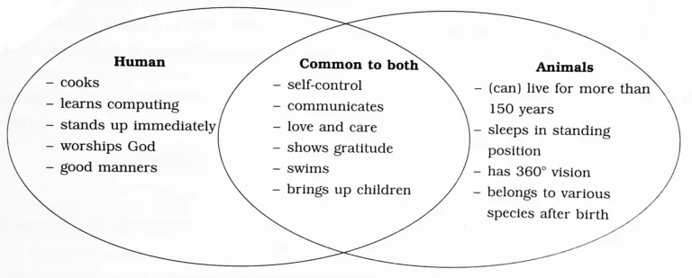 IMG 20230828 182424 Chapter 2.1 – Animals
