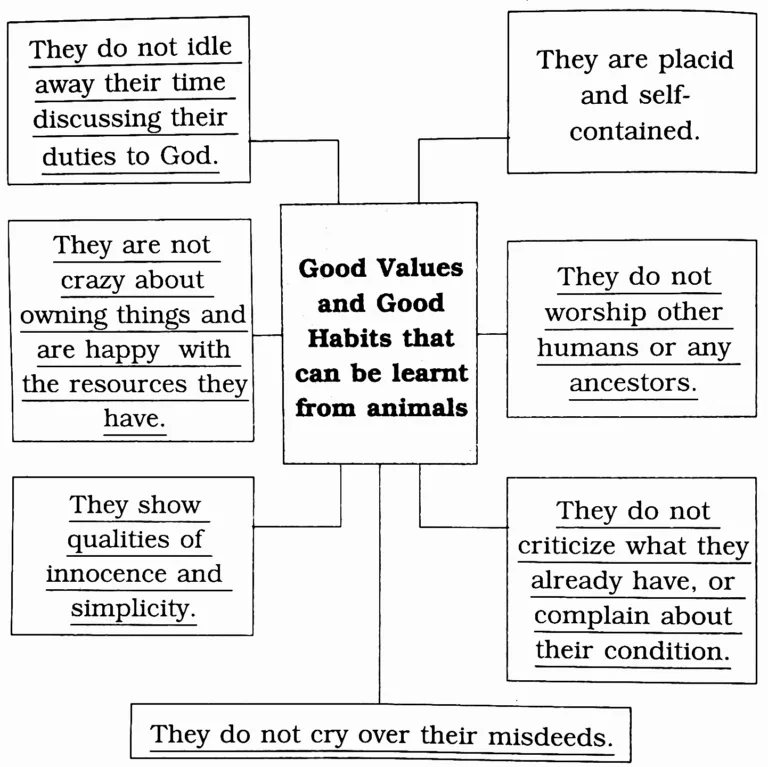 IMG 20230828 193111 Chapter 2.1 – Animals