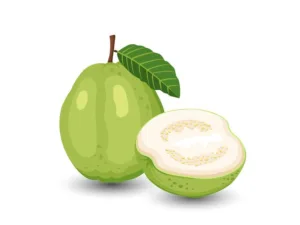 guava Lesson 7 – Food and Nutrition