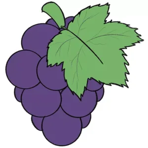 how to draw grapes for kids Lesson 7 – Food and Nutrition