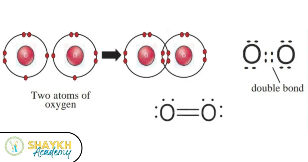 Chapter 9 – Carbon compounds - Shaykh Academy