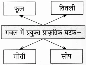 IMG 20230923 192517 पाठ ८ – गजल