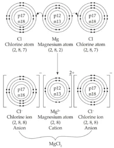 IMG 20230928 030438 Chapter 5 – Acids, Bases and Salts