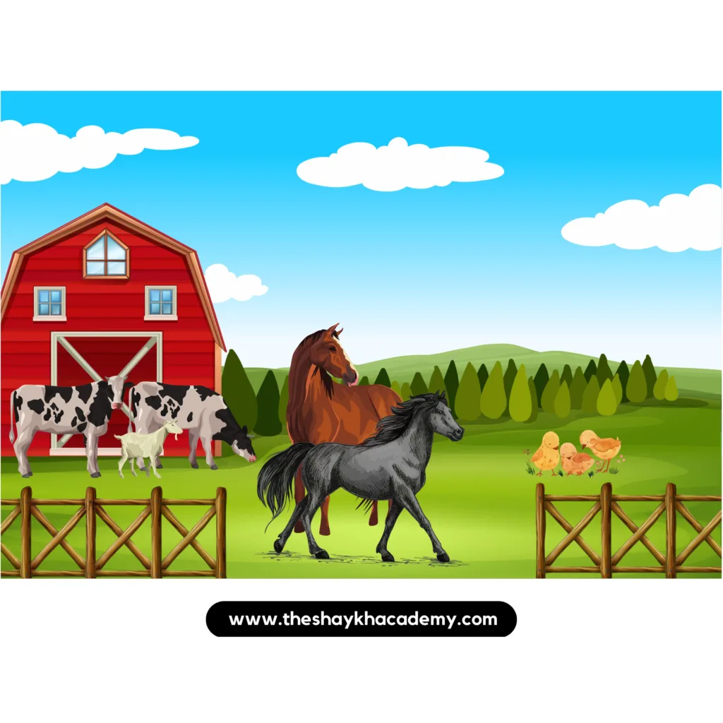 Our Farm