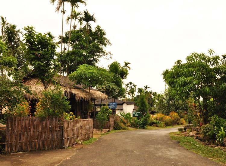 माझा गाव