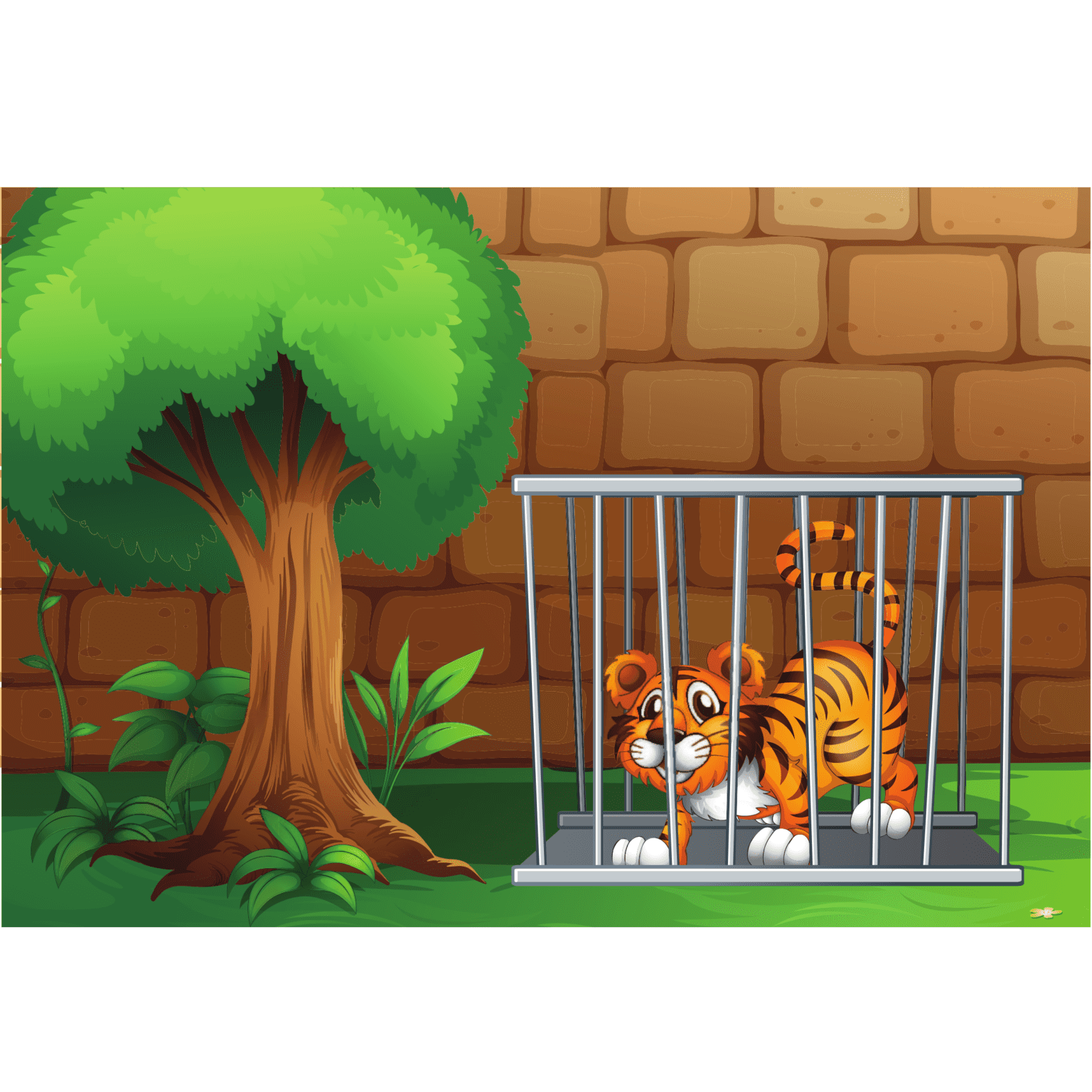 A Tiger - Rhymes & Songs - Shaykh Academy