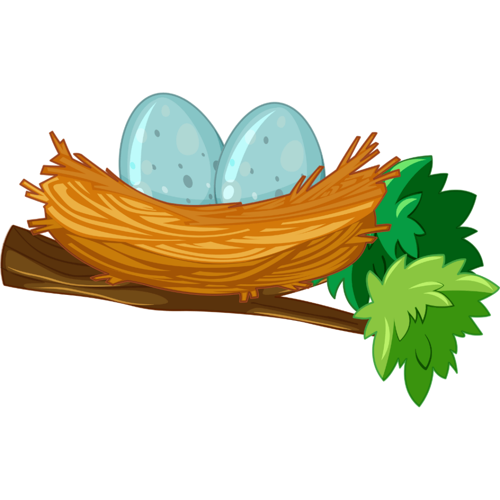 nest