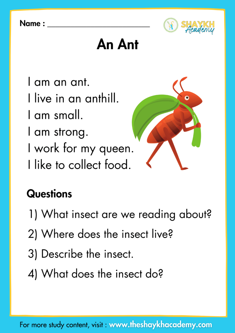 An Ant